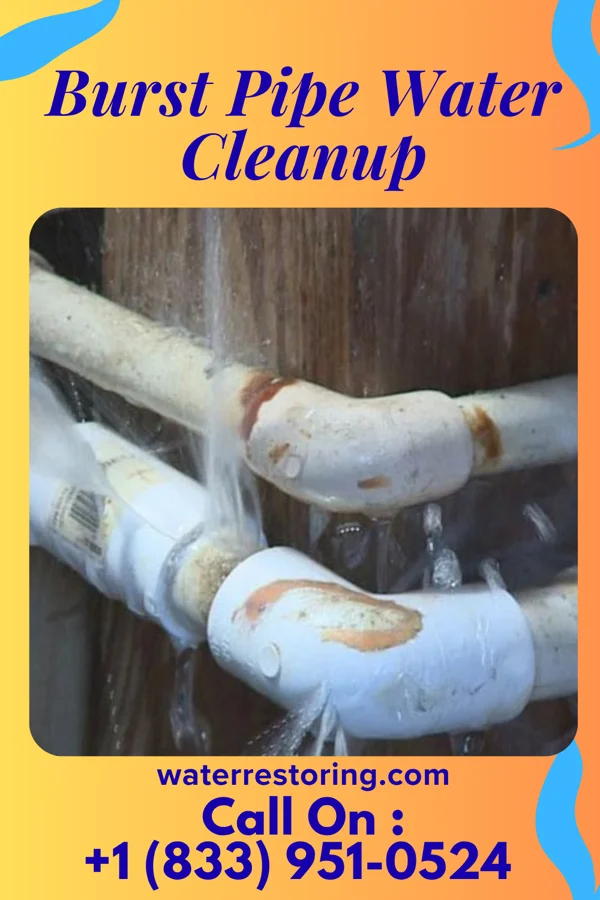 Burst Pipe Water Cleanup in Gordon Heights, NY
