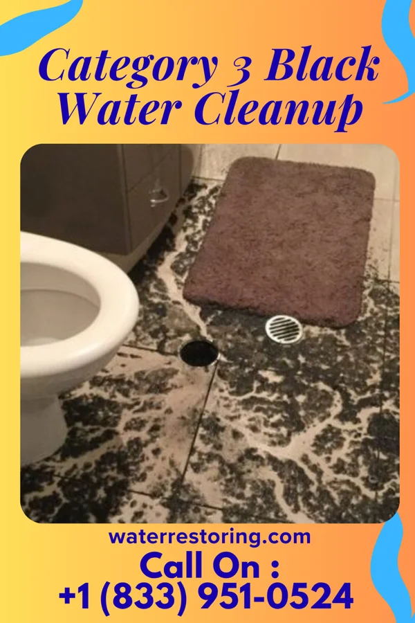 Category 3 Black Water Cleanup in Gordon Heights, NY