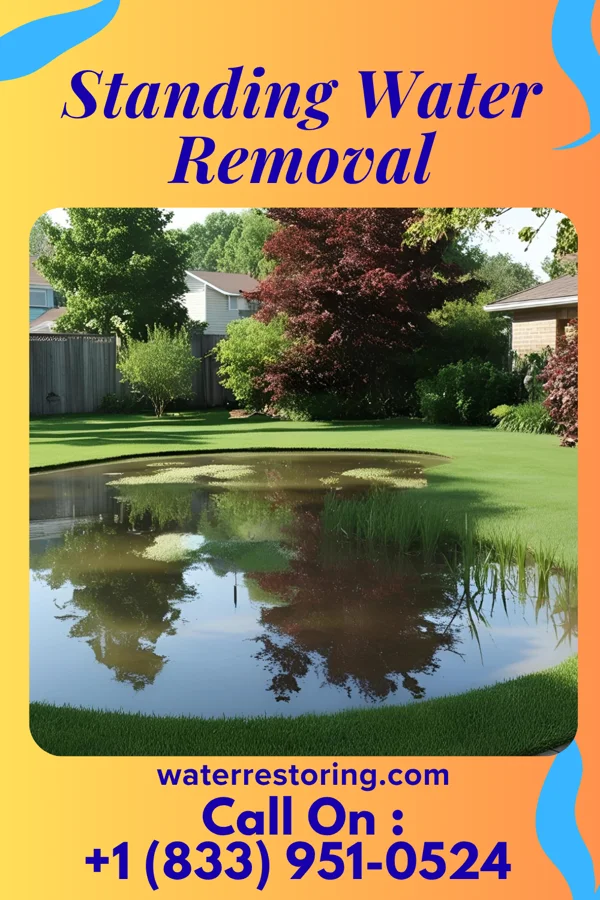 Standing Water Removal in Gordon Heights, NY